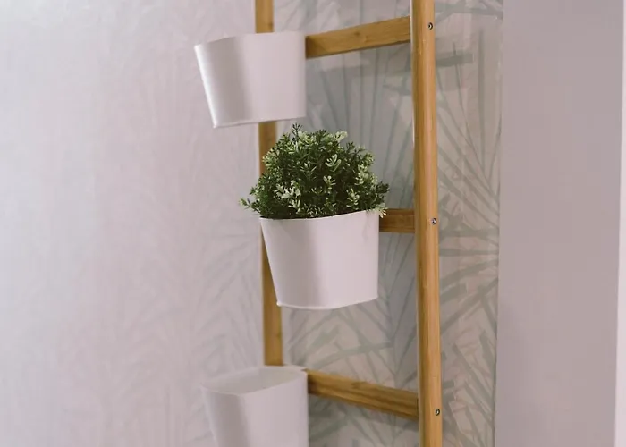 07 - In Front Of The 公寓 佩尼契